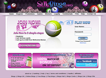 Silk Bingo Online