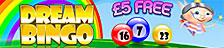 Free Bingo Dream